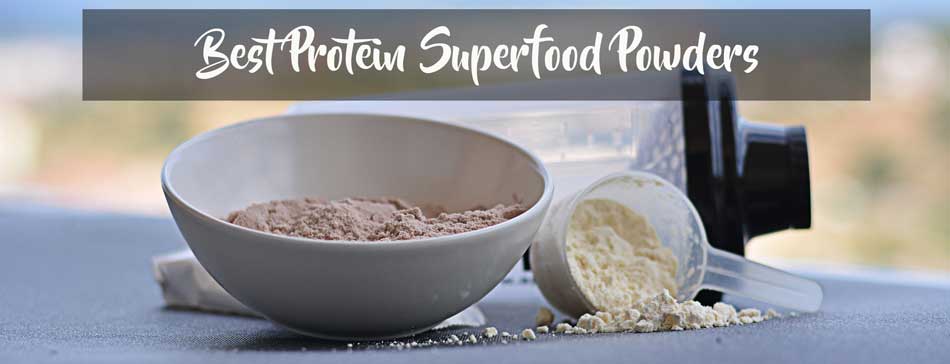 Best Protein Superfood Powders